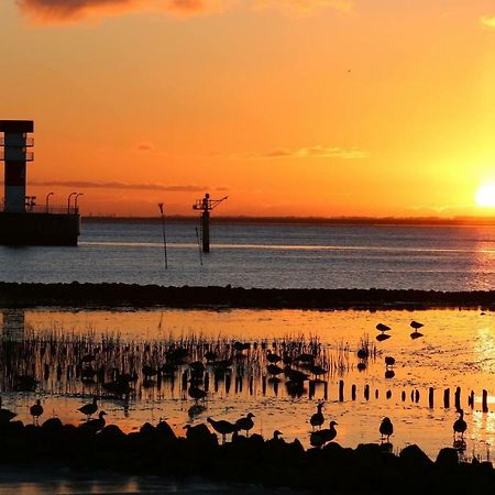 Ferien- Monteurswohnung Brunsbuttel Dış mekan fotoğraf