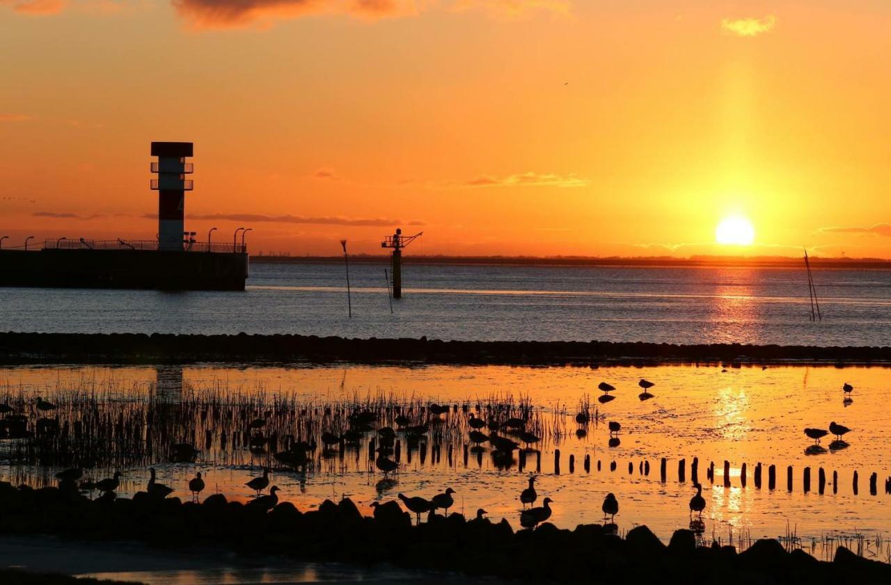 Ferien- Monteurswohnung Brunsbuttel Dış mekan fotoğraf